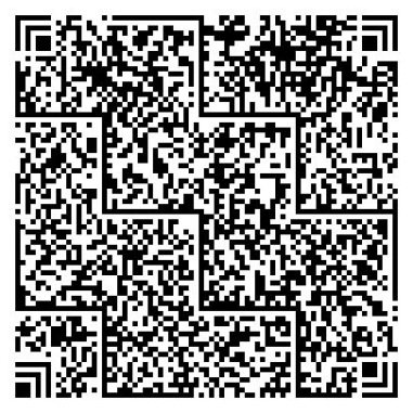 Han_Xin_Code_traditional_one