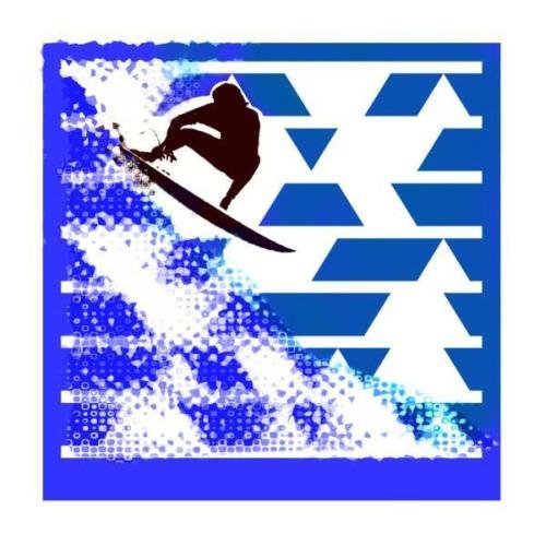 TagoftheWeek10_Surfer_Tag